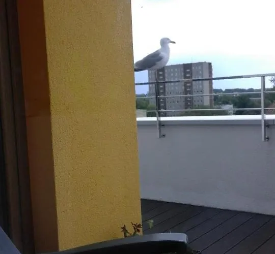 Wysmienity Apartament Miodowy